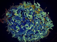 Researchers find new pathway for HIV invasion of cell nucleus