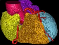 Researchers harness AI to predict cardiovascular risk from CT scans