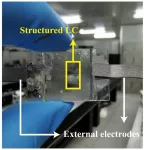 Researchers harness liquid crystal structures to design simple, yet versatile bifocal lenses