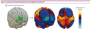 Researchers identify a brain circuit for creativity