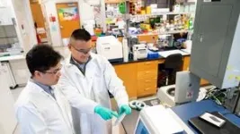 Researchers identify protein linked to metastasis in pancreatic cancer 2