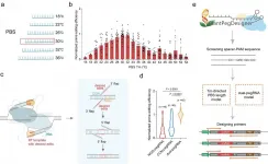 Researchers improve plant prime editing efficiency with optimized pegRNA designs