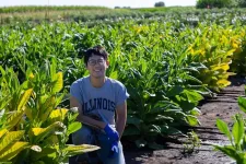 Researchers improve seed nitrogen content by reducing plant chlorophyll levels