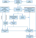 Researchers improved the catastrophic failure assessment of sealed cabin for ultra large manned spacecraft in M/OD environment