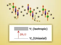 Researchers make a surprising discovery about the magnetic interactions in a Kagome layered topological magnet