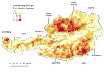 Researchers map Austrias pig trade network for the first time