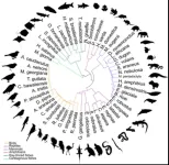 Researchers map genome for cats, dolphins, birds, and dozens of other animals