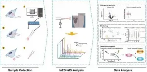 Researchers perform metabolomic profiling of individual enlarged lysosomes