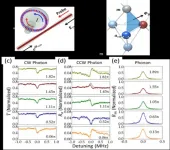 Researchers realize synthetic gauge fields in single optomechanical resonator