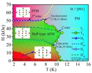 Researchers resolve magnetic structures of different topological semimetals