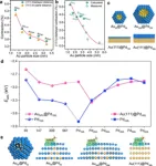 Researchers reveal conjugated dual size effect of core-shell bimetallic nanocatalysts