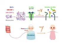 Researchers reveal pathogenesis and therapeutic strategy of pre-engraftment syndrome