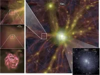 Researchers seek to understand how regions of cosmic web influence behavior of galaxies