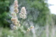 Researchers test using environmental DNA to monitor grass pollen levels