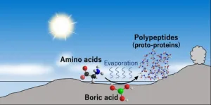 Researchers uncover how primordial proteins formed on prebiotic earth