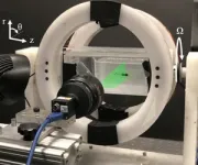 Researchers use 3D models to investigate bacteria movement 3