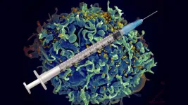 Researchers use ‘natural’ system to identify proteins most useful for developing an effective HIV vaccine