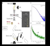 Researchers use tiny diamonds to create intracellular sensors