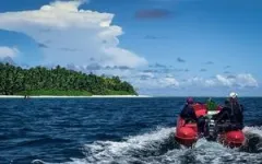 Restored rat-free islands could support hundreds of thousands more breeding seabirds 2