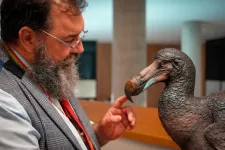 Rethinking the dodo