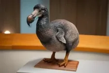 Rethinking the dodo 2