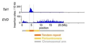 Revealing a key mechanism of rapid centromere evolution 2