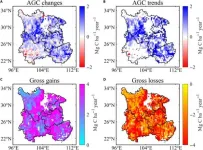 Revealing natures secrets from space: satellite data unlocks droughts impact on Southwest Chinas carbon cycle