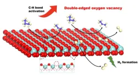 Revealing the double-edged role of oxygen vacancy on ZrO2 catalysts in propane dehydrogenation