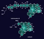 Reversal speeds creation of important molecule