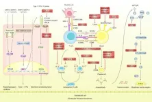 Review in Chinese Medical Journal highlights the challenges and recent advances in targeted therapies for lupus nephritis