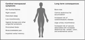 Review of over 70 years of menopause science highlights research gaps and calls for individualized treatment