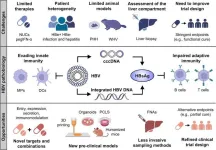 Reviewing new challenges and opportunities for hepatitis B cures