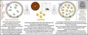 Revolutionary copper-infused microvesicles: a new era in biofunctional medicine