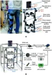 Revolutionary rehab robotics: A new leap in adaptive gait training