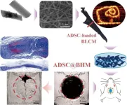 Revolutionary tubular scaffolds boost stem cell-driven bone regeneration in skull defects