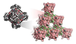 Revolutionary van der Waals open frameworks: a new era in porous materials