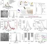 Revolutionary x-ray-sensitizers could transform cancer treatment with low-dose radiation therapy