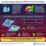 Revolutionizing ammonia synthesis: New iron-based catalyst surpasses century-old benchmark