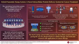 Revolutionizing cancer treatment by intracellular protein delivery using hybrid nanotubes