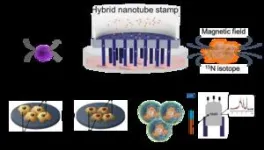 Revolutionizing cancer treatment by intracellular protein delivery using hybrid nanotubes 2