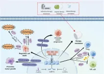 Revolutionizing cancer treatment: targeting EZH2 for a new era of precision medicine