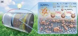 Revolutionizing energy storage: Metal nanoclusters for stable lithium–sulfur batteries 2