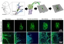 Revolutionizing stent surgery for cardiovascular diseases with laser patterning technology 2