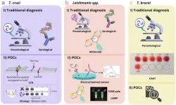 Revolutionizing tropical disease treatment: The future of conjugating nanomaterials with drugs