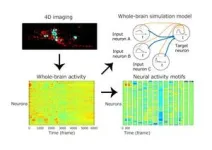 Rice breakthrough could make automated dosing systems universal 3