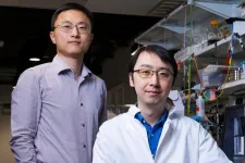 Rice-built reactor yields green ammonia and purified water