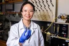 Rice engineers’ storage technology keeps nanosurfaces clean 2