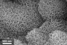 Rice engineers’ storage technology keeps nanosurfaces clean 3