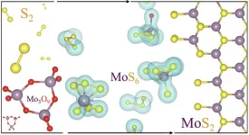 Rice lab peers inside 2D crystal synthesis