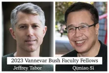 Rice researchers earn prestigious Defense Department grants